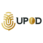 design-sans-titre-43.webp